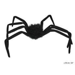 Spinne