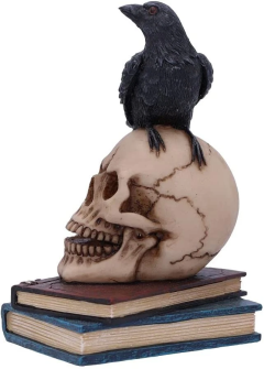 Totenkopffigur mit Krähe